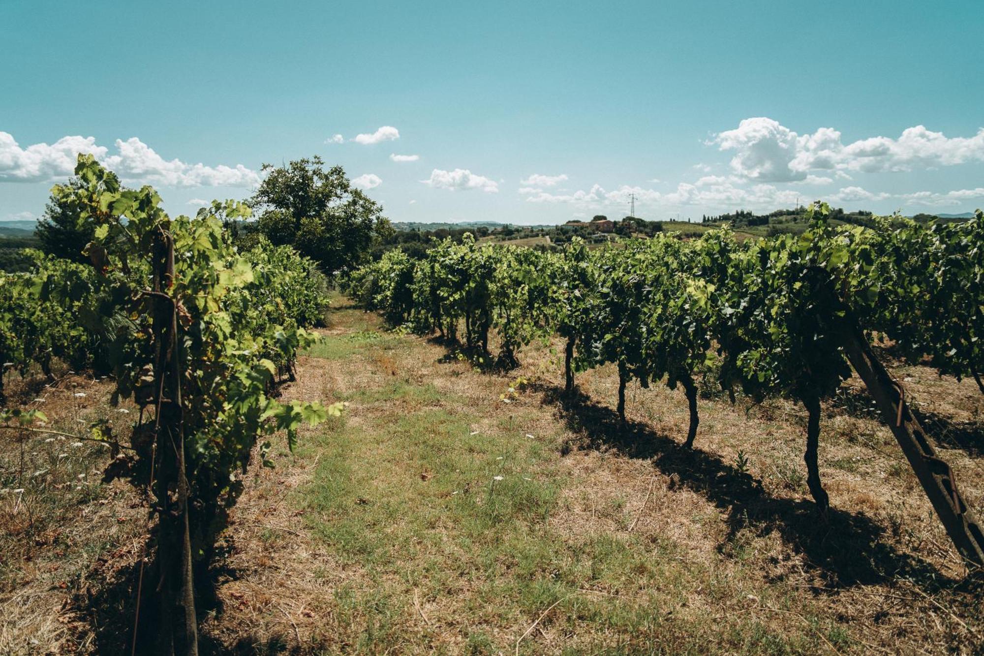 Вилла Agriturismo Terra Di Dio Toscanizzazione Капанноли Экстерьер фото